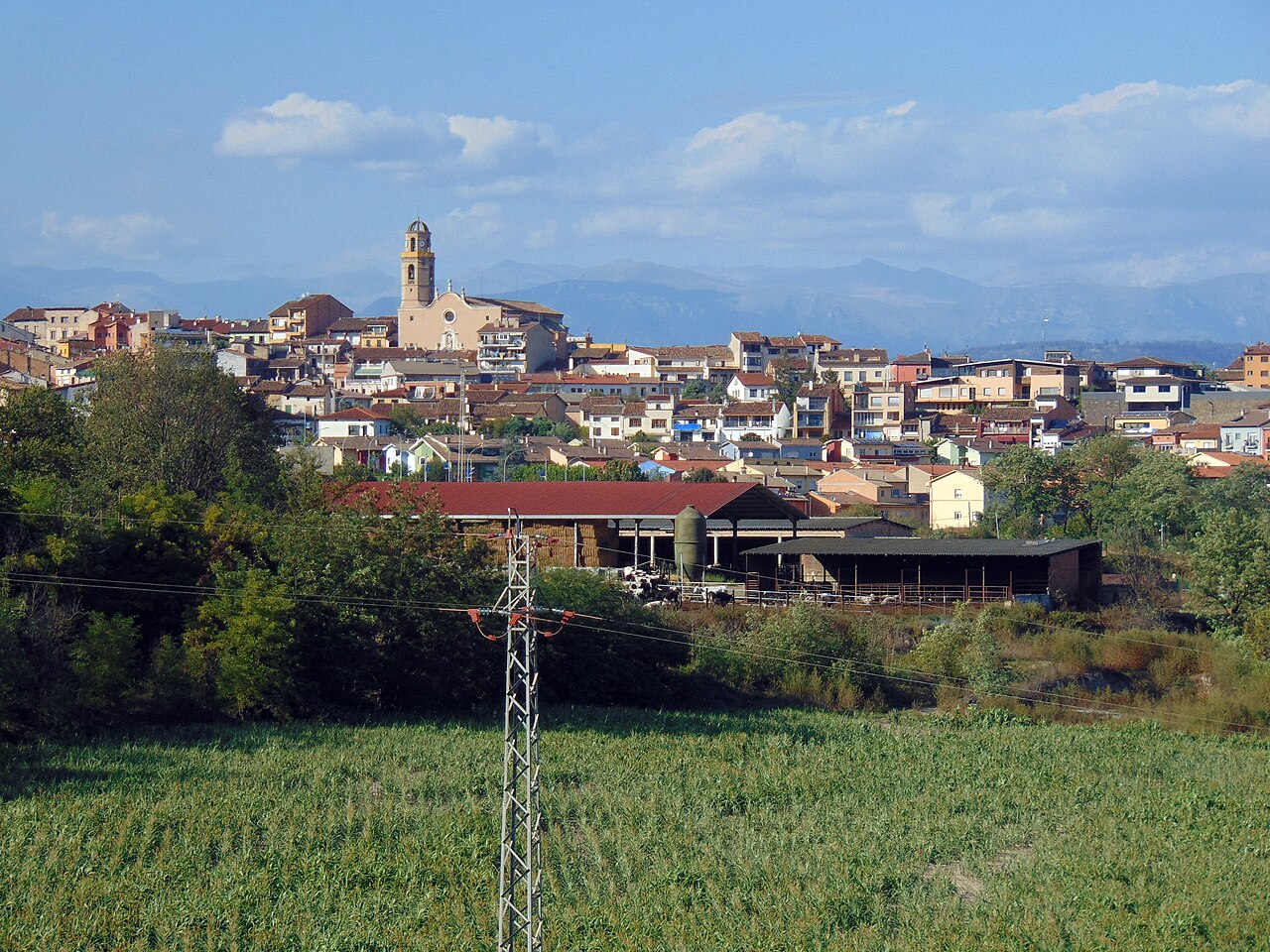 Sant Hipòlit de Voltregà