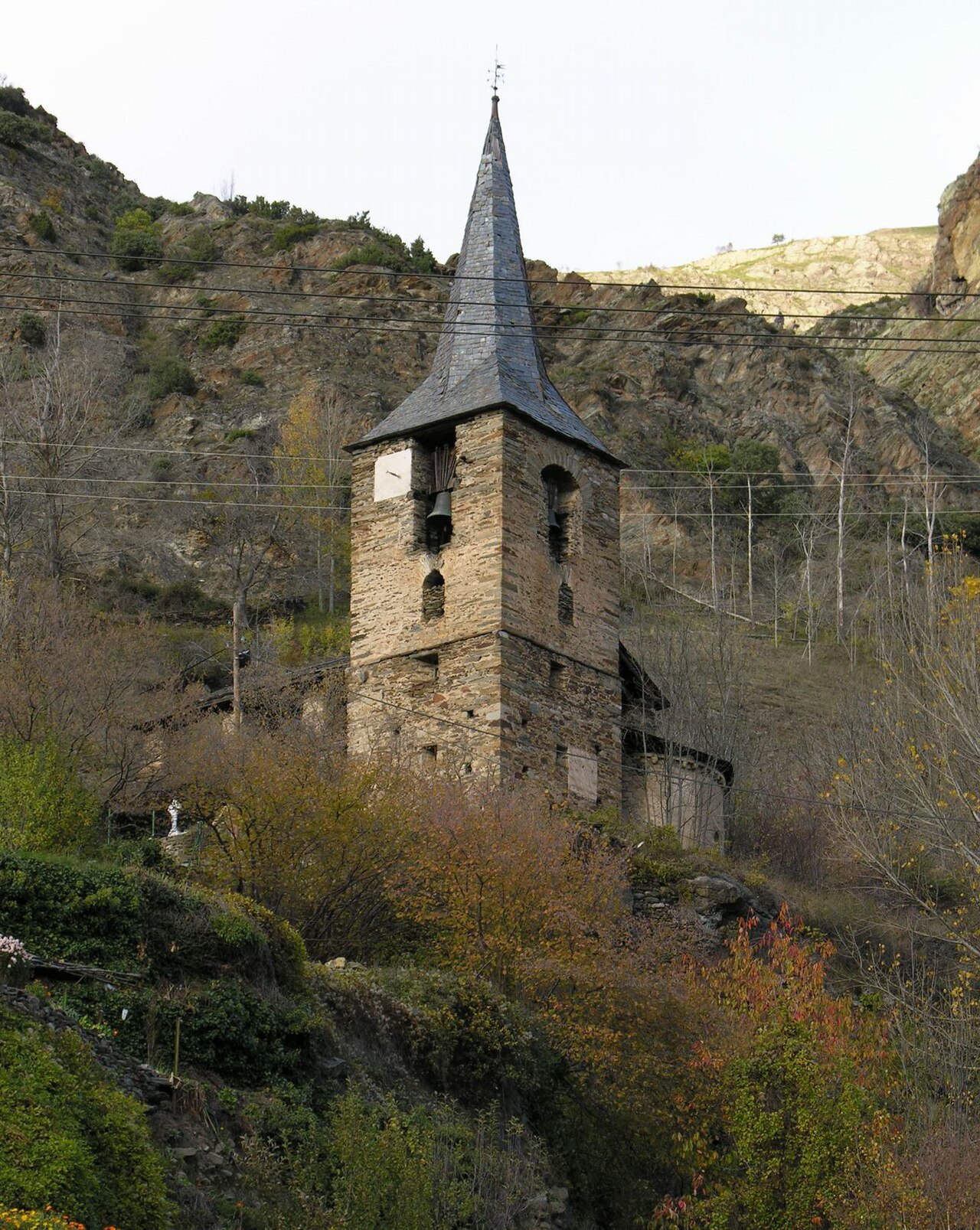 Alt Aneu