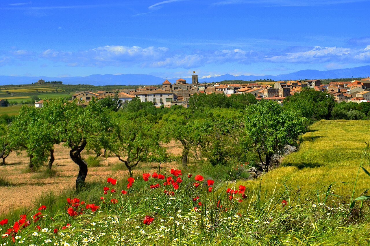 Tarroja de Segarra