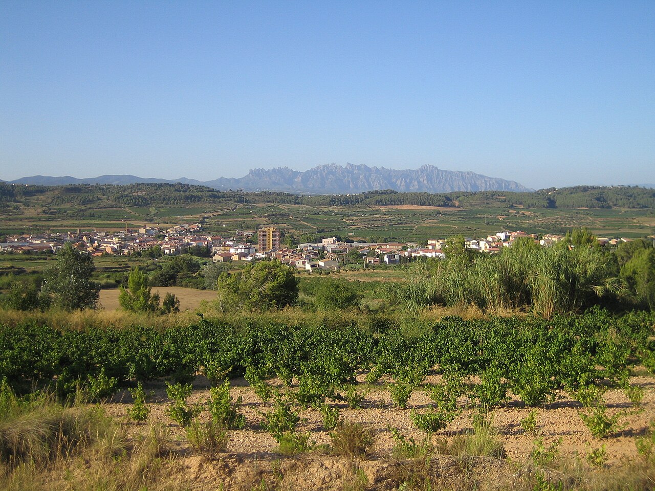 Sant Pere de Riudebitlles