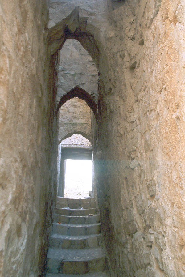 Sarral