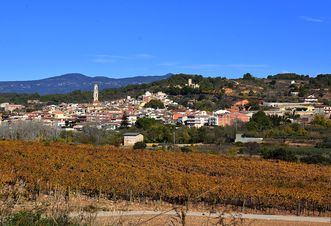 Vila-rodona