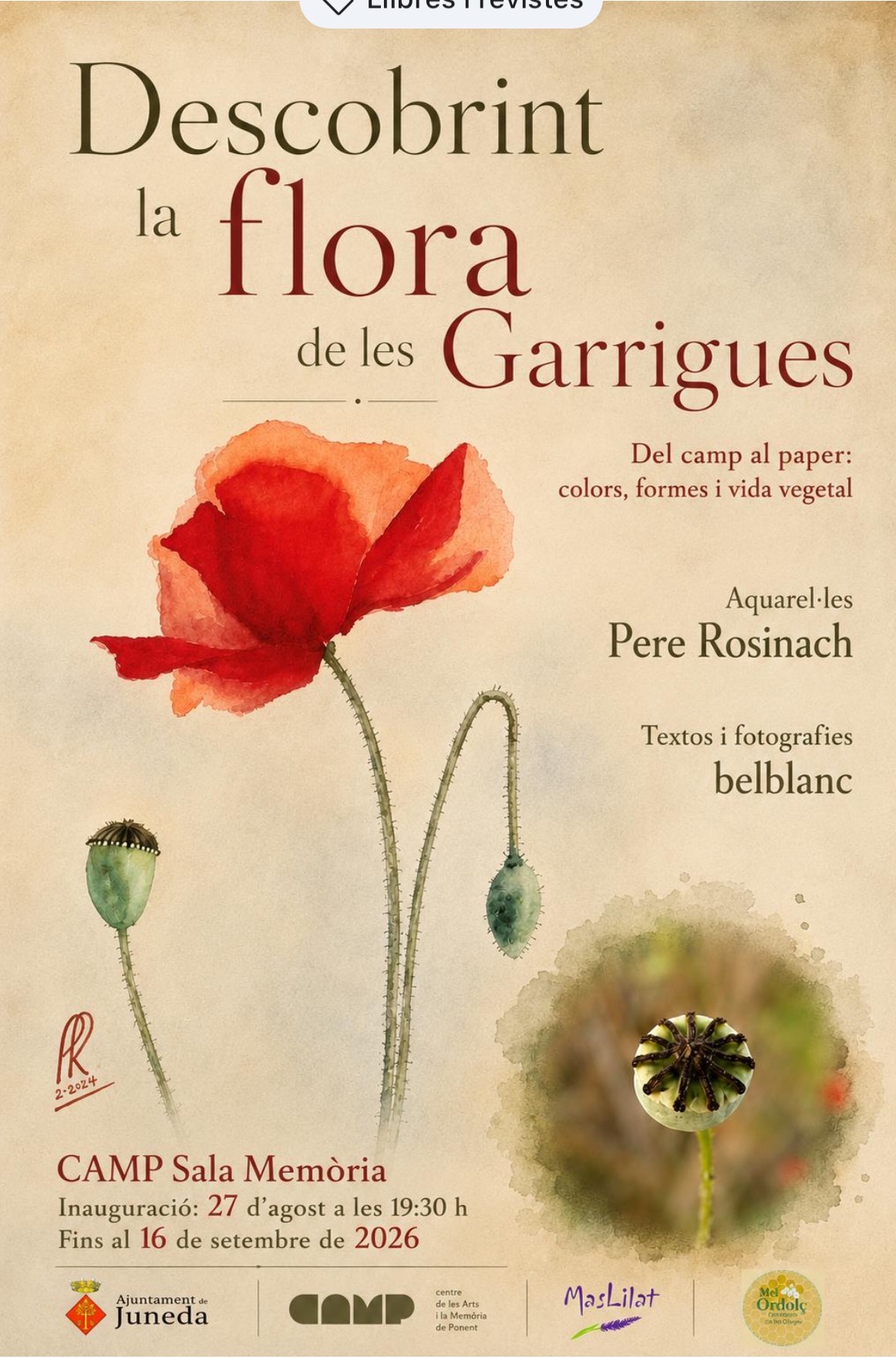 Descobrint la flora de les Garrigues